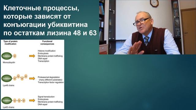 А.А.Чиркин "Внутриклеточный сигналинг и протеолиз", часть 2. 10.12.2018 смотреть онлайн