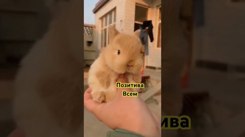 29 июня 2024 г.