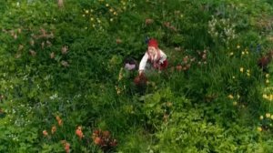 "Детский": "Красная шапочка"