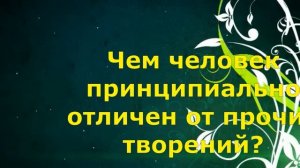 Чем человек принципиально отличен от прочих творений? Основы православия Дорога к храму