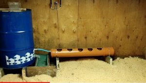 Подготовка зимнего утятника. 1 часть. Индийский бегунок. Preparation of the winter duckling. 1 part.