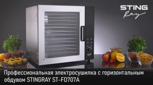 Профессиональная электросушилка STINGRAY ST-FD707A