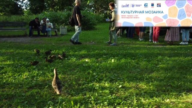 «Культурная мозаика малых городов и сёл Ленинградской области» с колес