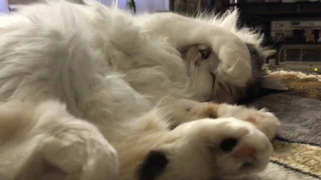 Всем сладких снов. смотреть онлайн