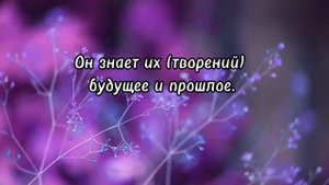 Аят Аль-Курси , Чтец Мухаммад Тарик.  Защитит от колдовства, очень сильный аят .