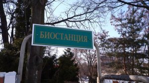 День открытых дверей Института естественных наук в РГУ имени С.А. Есенина