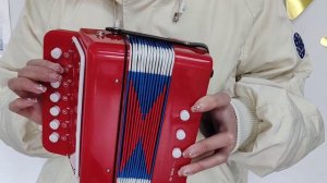 Play Music with Accordion Toy for Kids