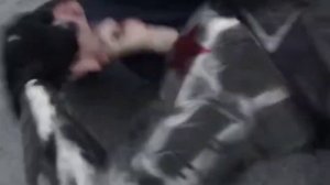 Стив Роджерс & Баки Барнс. Первый миститель.