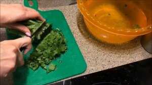 Как заморозить щавель на зиму. Заморозка щавля в домашних условиях