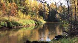 Осень .Река ЭСС. Югорск. Ханты-Мансийский округ.Autumn.The river ESS. Yugorsk. Khanty-Mansiysk distr