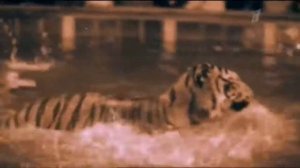 Маргарита Назарова