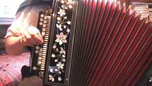 MELODY from Emmanuelle (мелодия из кинофильма Эмманюэль)на гармони.