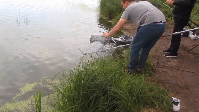 Рыбалка в Гжелке 18.08.2017 г. смотреть онлайн