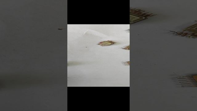 новое вид 16н  1 подложкп.mp4