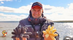 Ловля судака в сентябре. Поролон: Черный или Белый?