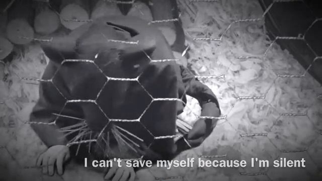 Leaping Bunny - Cruelty Free Stop Animal Testing (Radiohead No Surprises Cover) смотреть онлайн