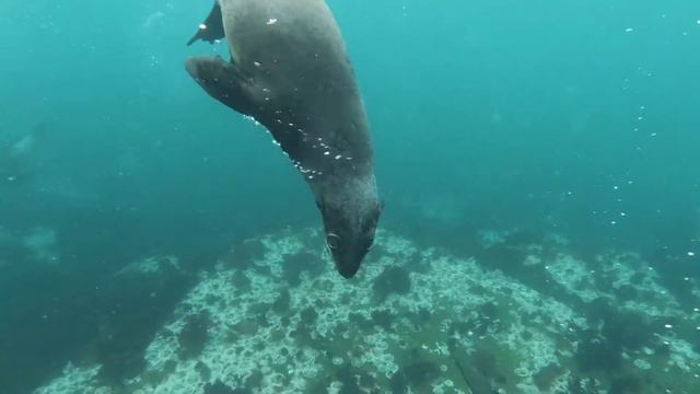 Пальмы / пляж / море / amazing