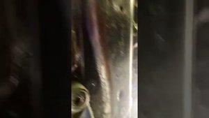 Снять падон форд транзит