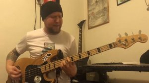 ЛЁД И ВЕТЕР|| Кавер версия