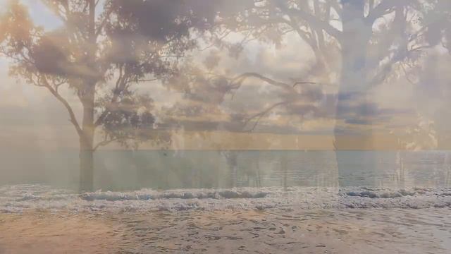 Спокойная музыка для снятия стресса, крепкий сон / Relaxing Piano смотреть онлайн