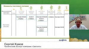 Картофель на переработку: экономика и технология