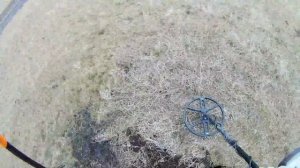 X-Terra 705 с катушкой Magic Lab 13" дюймов 7.5 кГц. Поиск царских монет