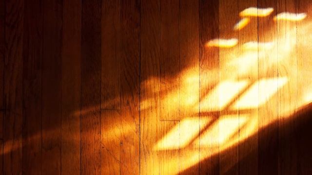 РЫСЬ доверила своего КОТЕНКА маленькой ДЕВОЧКЕ. Но она не знала, что за ней скоро придут.. смотреть онлайн