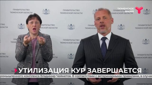Утилизация кур завершается | Тюмень