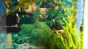 Аквариум JEBO