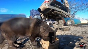 Знакомимся с папой? TLC105 на портальных мостах)