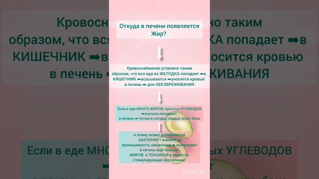 Откуда в печени появляется жир/жировой гепатоз #жирнаживоте