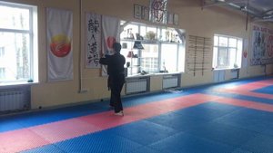 Нисейси Рюэй-рю /Niseishi Ryuei-ryu