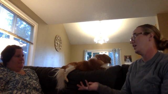 Cheryl Part 2 session 5 смотреть онлайн