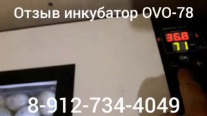 Отзыв Инкубатор OVO-78.
