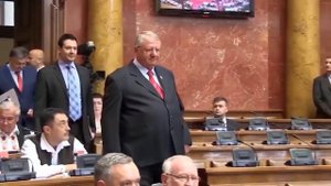 to je voja šešelj 2017
