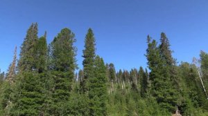 Река  Вишера сплав Вёлс - Красновишерск 9 -14  августа  2021   1 CЕРИЯ  HD