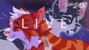 {коты водители} ° звёздное племя клип - ангелы не спят