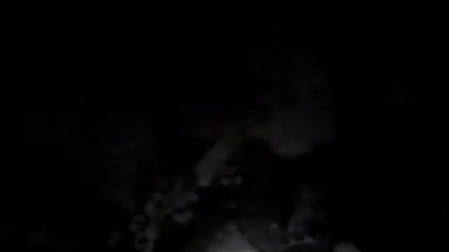 Наш маленький ёжик после зимы стал большой.wmv смотреть онлайн