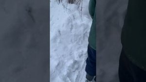 Работа снегоуборочной машины DAEWOO DAST 9070 самоходный / HARD WORK for SNOW PLOW DAEWOO DADT 9070