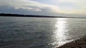 Отец Киприан "Поговори со мной трава"