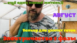 3 ФАЗЫ. Забор и Новый житель фермы