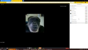 ПРАНК ОНЛАЙН УРОКИ ZOOM! РЕЙД ЗАНЯТЙ В ЗУМ! СРЫВ ЗАНЯТИЙ В ZOOM!