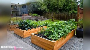 Дизайн сада и огорода в частном доме: 80 примеров для вдохновения