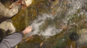 My BIGGEST NUGGET of the year! Using Garrett Axiom ?