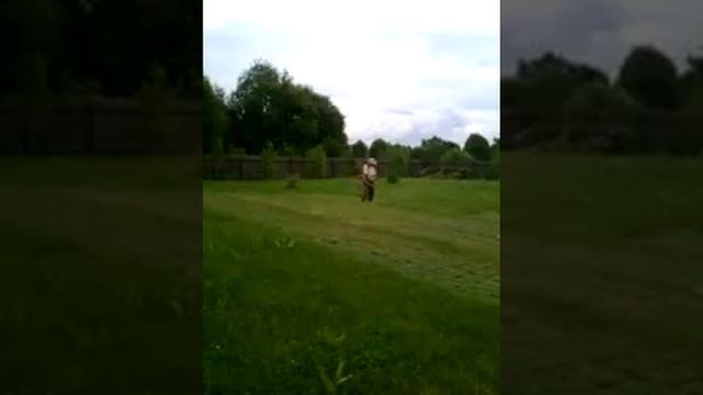 Косим ECHO-350ES одну сотку газона леской смотреть онлайн