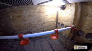 Брудер для цыплят, перепелов, бройлеров своими руками Подготовка к включению - zolotyeruki