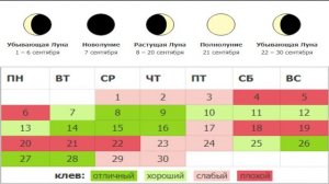 Календарь Рыбака на Сентябрь 2021 Лунный Календарь Рыболова на Сентябрь Какая рыба клюет в Сентябре