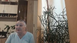ДОМ В ТАЙГЕ