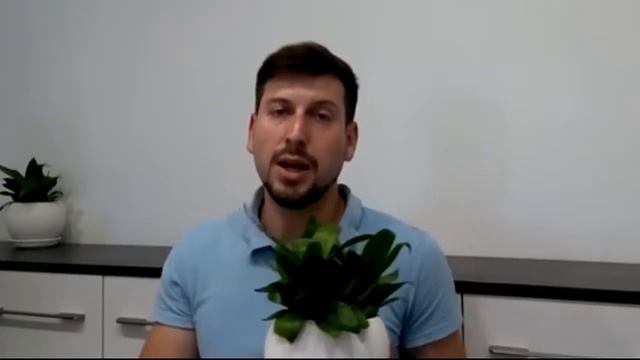 КОМНАТНЫЕ РАСТЕНИЯ Сансевиерия, сансевьера, щучий хвост, тёщин язык