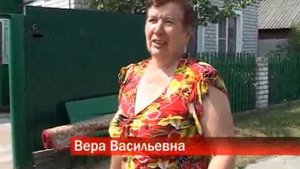 Затянуло бурой тиной...